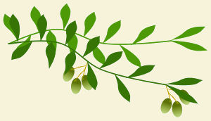 Olive Branch Symbol of Israel, God's People