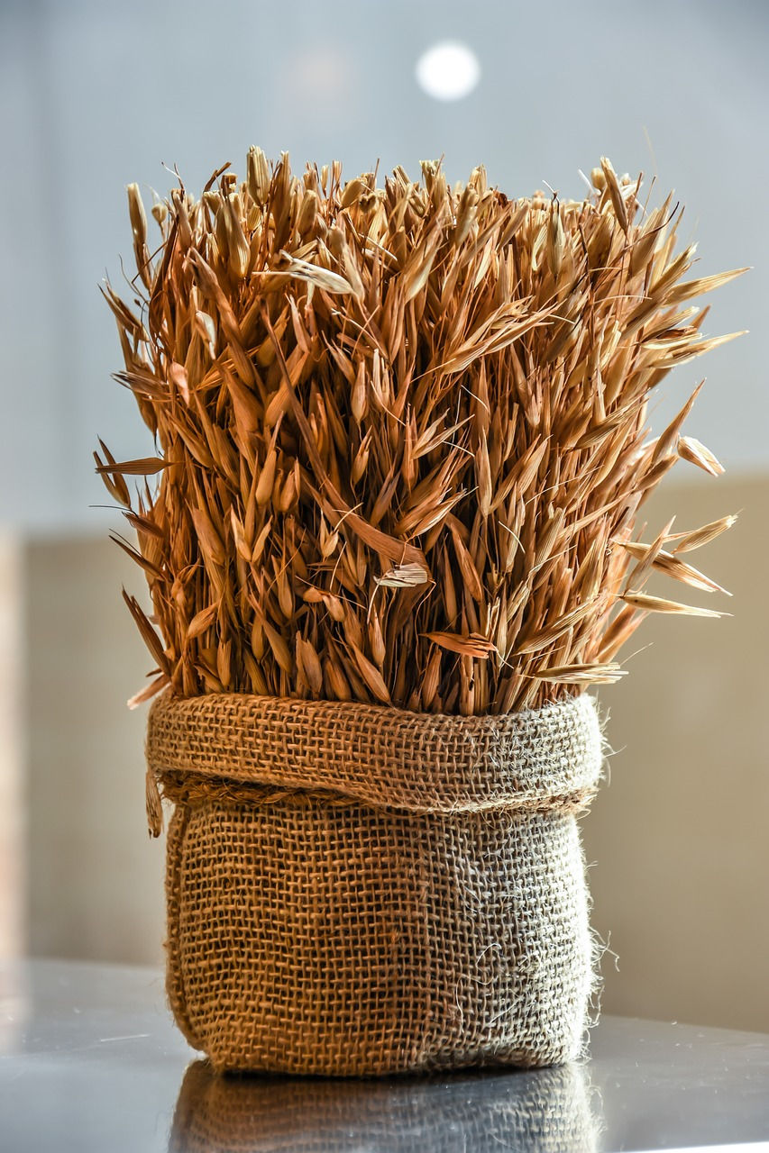 Wheat, a Type of Grain